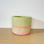 Textured 15cm Round Pot - Pistachio & Coral