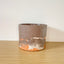 Textured 15cm Round Pot - Dark Brown, White & Marigold