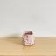 Adventure Van Pot - Light Pink