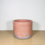 15cm Round Pot - Coral & Purple