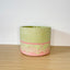 Textured 15cm Round Pot - Pistachio & Coral