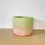 Textured 15cm Round Pot - Pistachio & Coral