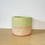 Textured 15cm Round Pot - Pistachio & Coral