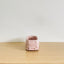 Adventure Van Pot - Light Pink
