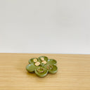 The Staple Collection - Flower Incense Holder & Tray