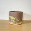 Textured 15cm Round Pot - Dark Brown, Pistachio & Coral