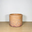 15cm Round Pot - Marigold, Plum & Purple