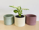 The Staple Collection - 15cm Round Pot made in a Single Colour