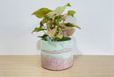 <p>Concrete Care Tips</p>
