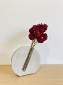 The Staple Collection - Sunshine Propagation Vase