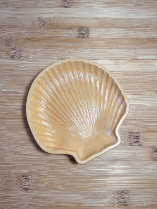 Seashell Dish Collection – Jordana Marie Crafts