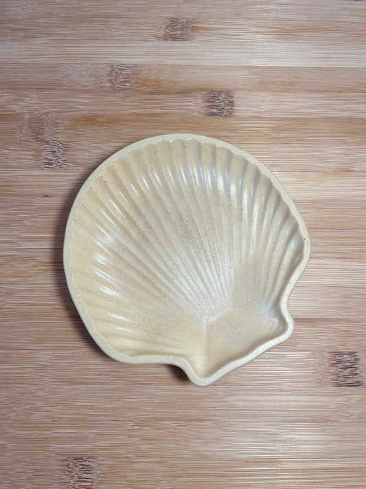 Seashell Dish Collection – Jordana Marie Crafts