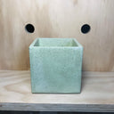 10cm Square Pot - Pastel Green