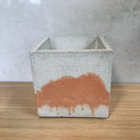 12cm Square Pot -White w/ Marigold