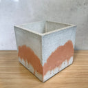 12cm Square Pot -White w/ Marigold