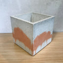 12cm Square Pot -White w/ Marigold